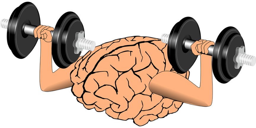 brain exercise app